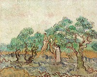 The Olive Orchard (1889) by <a href="https://www.rawpixel.com/search/vincent%20van%20gogh?sort=curated&amp;page=1">Vincent van Gogh</a>. Original from The National Gallery of Art. Digitally enhanced by rawpixel.