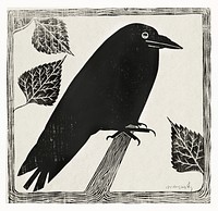 Crow (Kraai) (c.1910) print in high resolution by <a href="https://www.rawpixel.com/search/Samuel%20Jessurun%20de%20Mesquita?sort=curated&amp;page=1">Samuel Jessurun de Mesquita</a>. Original from The Rijksmuseum. Digitally enhanced by rawpixel.