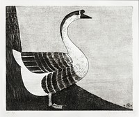 Goose (Knobbelgans) (1916) print in high resolution by Samuel Jessurun de Mesquita. Original from The Rijksmuseum. Digitally enhanced by rawpixel.