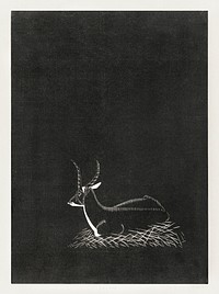 Waterbuck (Waterbok) (1921) print in high resolution by <a href="https://www.rawpixel.com/search/Samuel%20Jessurun%20de%20Mesquita?sort=curated&amp;page=1">Samuel Jessurun de Mesquita</a>. Original from The Rijksmuseum. Digitally enhanced by rawpixel.