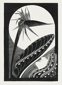 Strelitzia overblown (Uitgebloeide strelitzia) (1934) print in high resolution by <a href="https://www.rawpixel.com/search/Samuel%20Jessurun%20de%20Mesquita?sort=curated&amp;page=1">Samuel Jessurun de Mesquita</a>. Original from The Rijksmuseum. Digitally enhanced by rawpixel.