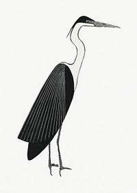 Vintage giant heron psd animal art print, remix from artworks by Samuel Jessurun de Mesquita