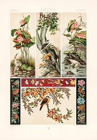 Chinese pattern. Digitally enhanced from our own original 1888 edition from L'ornement Polychrome by Albert Racine (1825–1893).