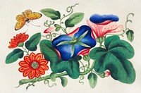 Chinese painting featuring flowers and a butterfly (ca.1800&ndash;1899) from the Miriam and Ira D. Wallach Division of Art, Prints and Photographs: Art &amp; Architecture Collection. Original from the New York Public Library. Digitally enhanced by rawpixel.