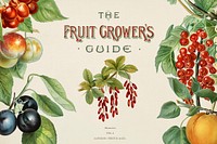 Vintage illustration of fruit grower's digitally enhanced from our own vintage edition of The Fruit Grower's Guide (1891) by John Wright.