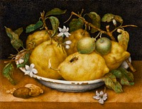 Still Life with Bowl of Citrons painting in high resolution by Giovanna Garzoni (1600-1670). Original from Getty Museum. Digitally enhanced by rawpixel.