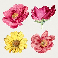 Vintage flower sticker, floral illustration, classic design element psd set