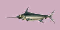 Swordfish (Xiphias gladius) illustrated by <a href="https://www.rawpixel.com/search/Charles%20Dessalines%20D%27%20Orbigny?">Charles Dessalines D&#39; Orbigny</a> (1806-1876). Digitally enhanced from our own 1892 edition of Dictionnaire Universel D&#39;histoire Naturelle.