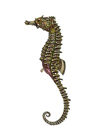 Lined seahorse (Hippocampus Erectus) illustrated by <a href="https://www.rawpixel.com/search/Charles%20Dessalines%20D%27%20Orbigny?">Charles Dessalines D&#39; Orbigny</a> (1806-1876). Digitally enhanced from our own 1892 edition of Dictionnaire Universel D&#39;histoire Naturelle.