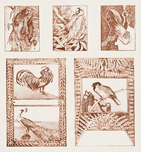 Proefblad voor briefkaarten met vogels (1878&ndash;1917) print in high resolution by <a href="https://www.rawpixel.com/search/Theo%20van%20Hoytema?sort=curated&amp;page=1">Theo van Hoytema</a>. Original from The Rijksmuseum. Digitally enhanced by rawpixel.