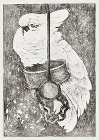 Witte kaketoe (1878&ndash;1917) print in high resolution by <a href="https://www.rawpixel.com/search/Theo%20van%20Hoytema?sort=curated&amp;page=1">Theo van Hoytema</a>. Original from The Rijksmuseum. Digitally enhanced by rawpixel.