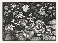 Wilde planten en bloemen (1878&ndash;1917) print in high resolution by <a href="https://www.rawpixel.com/search/Theo%20van%20Hoytema?sort=curated&amp;page=1">Theo van Hoytema</a>. Original from The Rijksmuseum. Digitally enhanced by rawpixel.