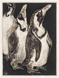 Drie pingu&iuml;ns (1878&ndash;1906) print in high resolution by <a href="https://www.rawpixel.com/search/Theo%20van%20Hoytema?sort=curated&amp;page=1">Theo van Hoytema</a>. Original from The Rijksmuseum. Digitally enhanced by rawpixel.