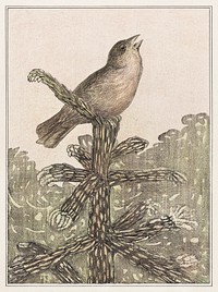 Zingende vogel op naaldboom (1878–1906) print in high resolution by Theo van Hoytema. Original from The Rijksmuseum. Digitally enhanced by rawpixel.