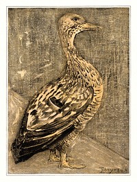 Staande eend (1878&ndash;1909) print in high resolution by <a href="https://www.rawpixel.com/search/Theo%20van%20Hoytema?sort=curated&amp;page=1">Theo van Hoytema</a>. Original from The Rijksmuseum. Digitally enhanced by rawpixel.