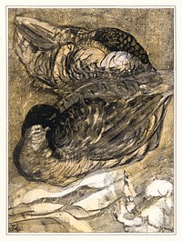 Twee slapende eenden (1878&ndash;1909) print in high resolution by <a href="https://www.rawpixel.com/search/Theo%20van%20Hoytema?sort=curated&amp;page=1">Theo van Hoytema</a>. Original from The Rijksmuseum. Digitally enhanced by rawpixel.