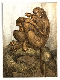 Vlooiende apen (1878&ndash;1910) print in high resolution by Theo van Hoytema. Original from The Rijksmuseum. Digitally enhanced by rawpixel.