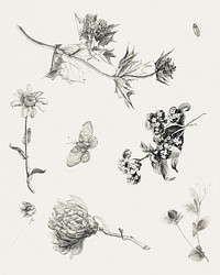 Flowers and Leaves (1878&ndash;1917) print in high resolution by <a href="https://www.rawpixel.com/search/Theo%20van%20Hoytema?sort=curated&amp;page=1">Theo van Hoytema</a>. Original from The Rijksmuseum. Digitally enhanced by rawpixel.