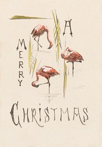 Kerstkaart met drie flamingo&#39;s (c.1878&ndash;c.1917) print in high resolution by <a href="https://www.rawpixel.com/search/Theo%20van%20Hoytema?sort=curated&amp;page=1">Theo van Hoytema</a>. Original from The Rijksmuseum. Digitally enhanced by rawpixel.