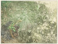 Hagedis op een steen (1878&ndash;1917) print in high resolution by <a href="https://www.rawpixel.com/search/Theo%20van%20Hoytema?sort=curated&amp;page=1">Theo van Hoytema</a>. Original from The Rijksmuseum. Digitally enhanced by rawpixel.