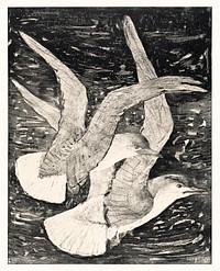 Twee vliegende meeuwen (1873&ndash;1917) print in high resolution by <a href="https://www.rawpixel.com/search/Theo%20van%20Hoytema?sort=curated&amp;page=1">Theo van Hoytema</a>. Original from The Rijksmuseum. Digitally enhanced by rawpixel.