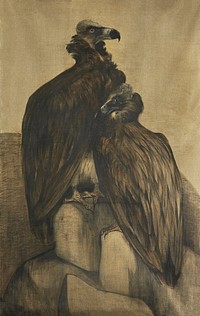 Two Arabian Vultures (1885&ndash;1917) print in high resolution by <a href="https://www.rawpixel.com/search/Theo%20van%20Hoytema?sort=curated&amp;page=1">Theo van Hoytema</a>. Original from The Rijksmuseum. Digitally enhanced by rawpixel.