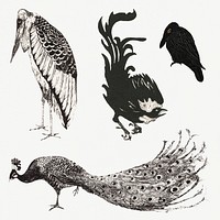 Vintage bird art print collection, remix from artworks by Theo van Hoytema