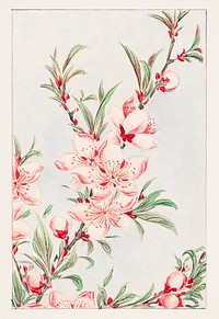 Peach tree branches with leaves and blossoms during 1870–1880 by Megata Morikaga. Original from Library of Congress. Digitally enhanced by rawpixel.