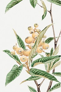Vintage Japanese plum tree art print, remix from artworks by Megata Morikaga