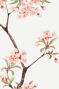 Vintage Japanese cherry blossoms vector art print, remix from artworks by Megata Morikaga