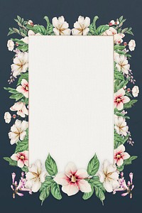Vintage Japanese psd floral frame art print, remix from artworks by Megata Morikaga
