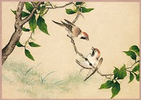 Gossiping Sparrows (18th Century) painting in high resolution by Zhang Ruoai. Original from The Cleveland Museum of Art. Digitally enhanced by rawpixel.