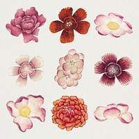 Vintage Chinese pink flower psd set, remix from artworks by Zhang Ruoai