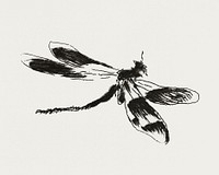 Dragonfly, plate 1 from Le Fleuve (1874) print in high resolution by &Eacute;douard Manet. Original from The Art Institute of Chicago. Digitally enhanced by rawpixel.