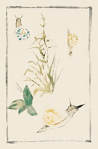 Sketches of Snails, Flowering Plant (1864&ndash;1868) painting in high resolution by &Eacute;douard Manet. Original from The Art Institute of Chicago. Digitally enhanced by rawpixel.