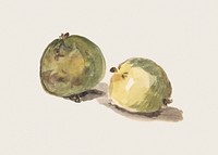 A Letter to Eugène Maus, Decorated with Two Apples (August 2, 1880) painting in high resolution by édouard Manet. Original from The MET. Digitally enhanced by rawpixel.