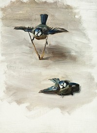 Studies of a Dead Bird (1878) by<a href="https://www.rawpixel.com/search/John%20Singer%20Sargent?sort=curated&amp;page=1&amp;topic_group=_my_topics"> John Singer Sargent</a>. Original from The MET Museum. Digitally enhanced by rawpixel.