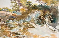 Landscape with Palmettos (1917) by<a href="https://www.rawpixel.com/search/John%20Singer%20Sargent?sort=curated&amp;page=1&amp;topic_group=_my_topics"> John Singer Sargent</a>. Original from The MET Museum. Digitally enhanced by rawpixel.