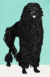 Vintage Poodle dog illustration psd, remixed from artworks by Moriz Jung