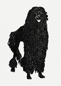 Vintage Poodle dog illustration psd, remixed from artworks by Moriz Jung