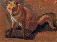 Study of a Fox (ca. 1810–1830) painting in high resolution by Jacques–Laurent Agasse. Original from The Yale University Art Gallery. Digitally enhanced by rawpixel.