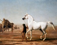 The Wellesley Grey Arabian Led through the Desert (ca. 1810) painting in high resolution by <a href="https://www.rawpixel.com/search/Jacques%E2%80%93Laurent%20Agasse?sort=curated&amp;page=1&amp;topic_group=_my_topics">Jacques&ndash;Laurent Agasse</a>. Original from The Yale University Art Gallery. Digitally enhanced by rawpixel.