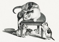 Illustration of domestic cat on a stool and three playful kittens by Gottfried Mind (1768-1814). Original from Library of Congress. Digitally enhanced by rawpixel.