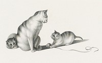Illustration of two domestic cats playing by Gottfried Mind (1768-1814). Original from Library of Congress. Digitally enhanced by rawpixel.