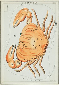 Sidney Hall&rsquo;s (?-1831) astronomical chart illustration of the cancer zodiac. A crab forming a constellation. Original from Library of Congress. Digitally enhanced by rawpixel.
