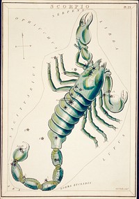 Sidney Hall&rsquo;s (?-1831) astronomical chart illustration of the Scorpio. Original from Library of Congress. Digitally enhanced by rawpixel.