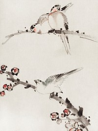 Three Birds Perched on Branches, One with Blossoms by <a href="https://www.rawpixel.com/search/Katsushika%20Hokusai?sort=curated&amp;page=1">Katsushika </a><a href="https://www.rawpixel.com/search/Katsushika%20Hokusai?sort=curated&amp;page=1">Hokusai</a>, published between 1830 and 1850, an illustration of three birds perched on branches, one with blossoms.