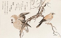 Kashidori Fukuro by <a href="https://www.rawpixel.com/search/Utamaro%20Kitagawa?sort=curated&amp;page=1">Utamaro Kitagawa</a> (1753-1806), a traditional Japanese ukiyo-e style illustration of jay and owl birds and a Japanese poem written on both sides of the pages. Original from Library of Congress. Digitally enhanced by rawpixel.
