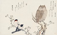 Mimizuku Uso by <a href="https://www.rawpixel.com/search/Utamaro%20Kitagawa?sort=curated&amp;page=1">Utamaro Kitagawa</a> (1753-1806), a traditional Japanese ukiyo-e style illustration of bullfinch and horned owl birds and a Japanese poem written on both sides of the pages. Original from Library of Congress. Digitally enhanced by rawpixel.
