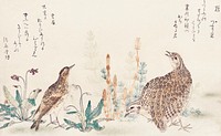 Uzura Hibari by <a href="https://www.rawpixel.com/search/Utamaro%20Kitagawa?sort=curated&amp;page=1">Utamaro Kitagawa</a> (1753-1806), a traditional Japanese ukiyo-e style illustration of quail and meadowlark birds and a Japanese poem written on both sides of the pages. Original from Library of Congress. Digitally enhanced by rawpixel.